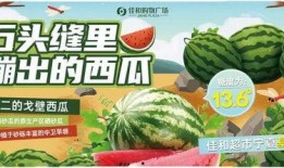 51热门大瓜今日大瓜最新,今日大瓜新鲜出炉，揭秘娱乐圈最新热点！